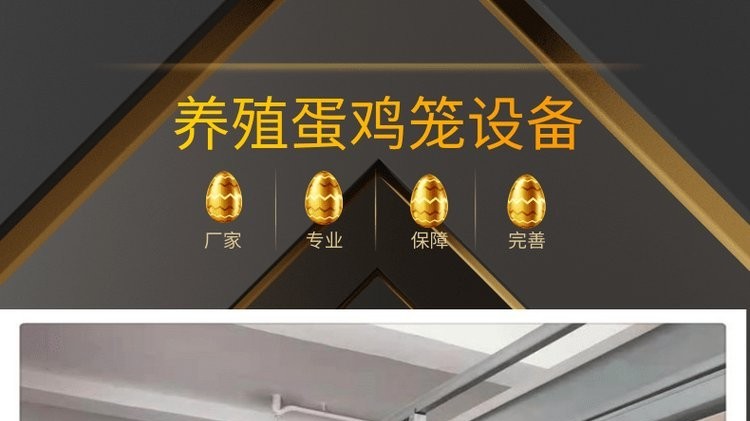 使用遠(yuǎn)卓農(nóng)牧蛋雞籠養(yǎng)雞,，雞舍需注意的幾個關(guān)鍵點