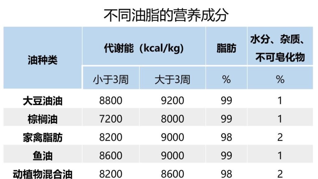 遠(yuǎn)卓農(nóng)牧蛋雞養(yǎng)殖自動化設(shè)備：油脂在蛋雞上的應(yīng)用及質(zhì)量控制措施