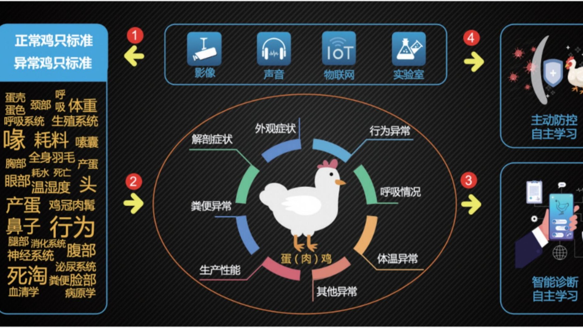 規(guī)模蛋雞養(yǎng)殖場(chǎng)冬春換季,，如何防止蛋雞產(chǎn)蛋率下滑？