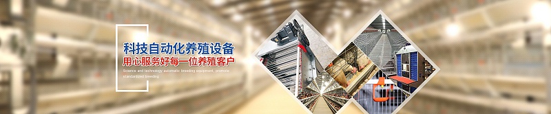 ac256a7f89bd4c61a4fdb0c90c8d8bdf_14
