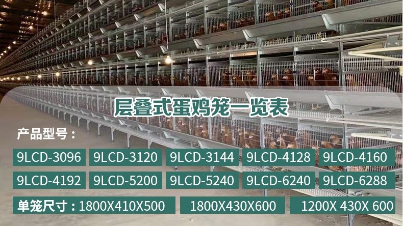 籠養(yǎng)蛋雞應(yīng)該如何選擇合適的雞籠,？