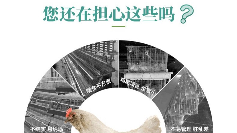 遠(yuǎn)卓農(nóng)牧層疊式蛋雞籠養(yǎng)飼養(yǎng)管理要點(diǎn)